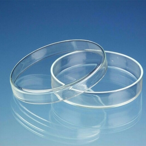 Laboratory Glassware Dishes